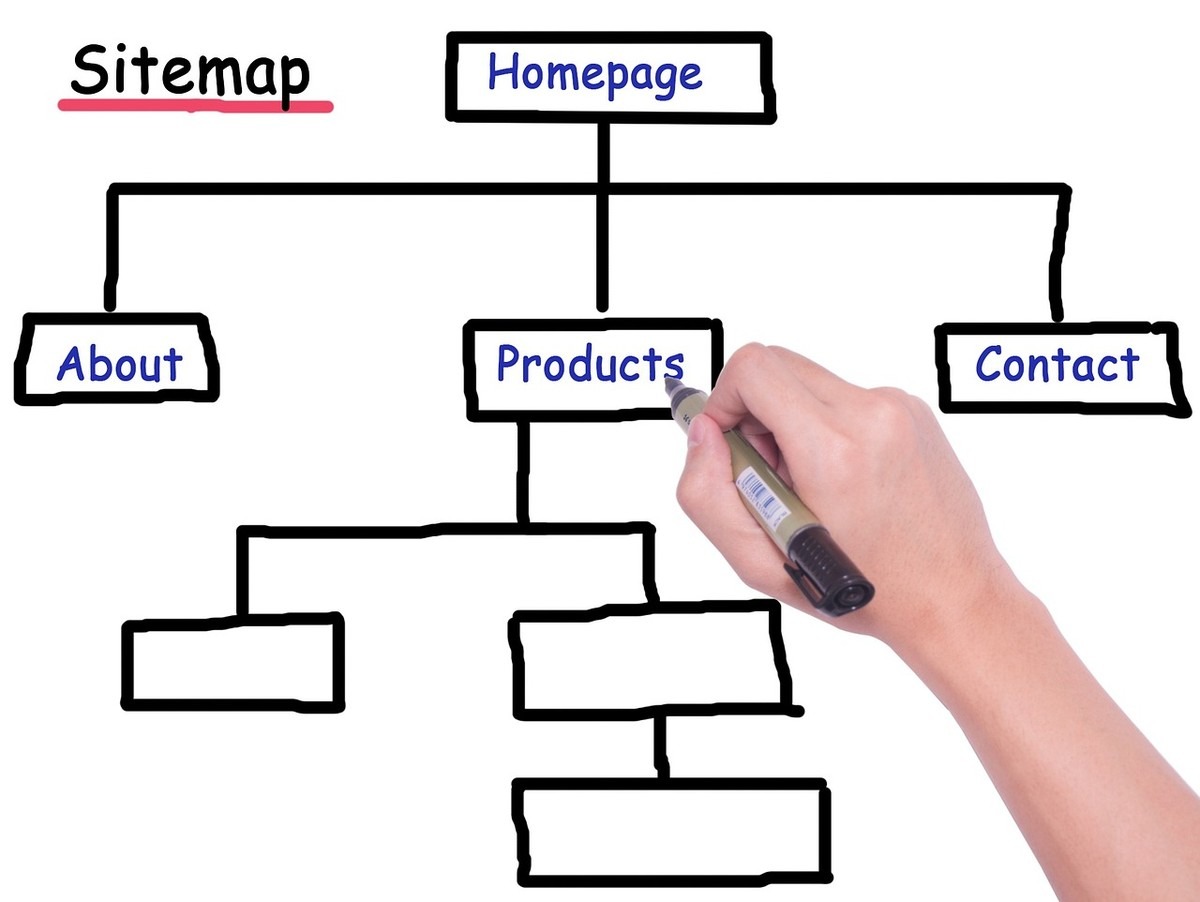 Main tenant un marqueur dessine un schéma de sitemap hiérarchisé sur tableau blanc