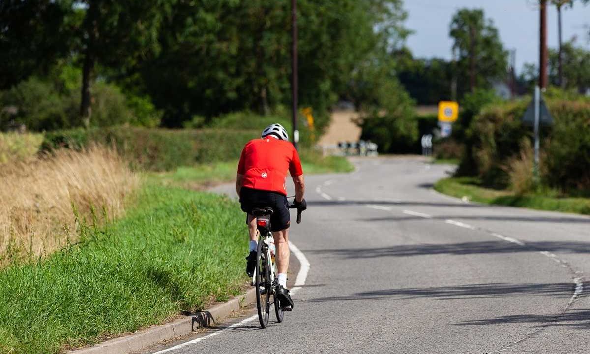 Cycliste sur route, casque, gants, arbres, buissons, panneau signalétique