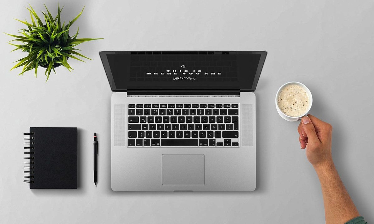 Laptop, notebook, pen, coffee cup, potted plant on desk. Person holding cup